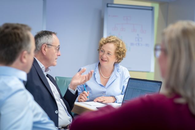 Organizational & Interim Management